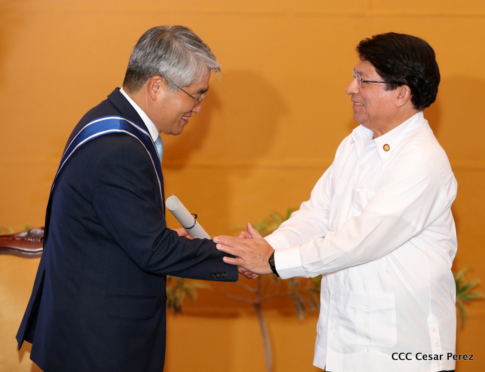 COREA1
